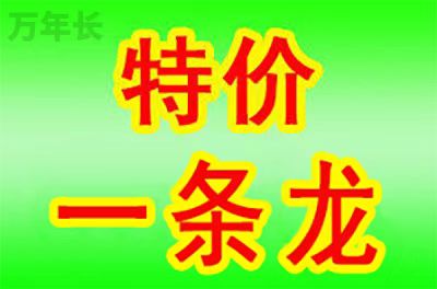 黄陂湖北省武汉市黄陂区墓地多少钱？